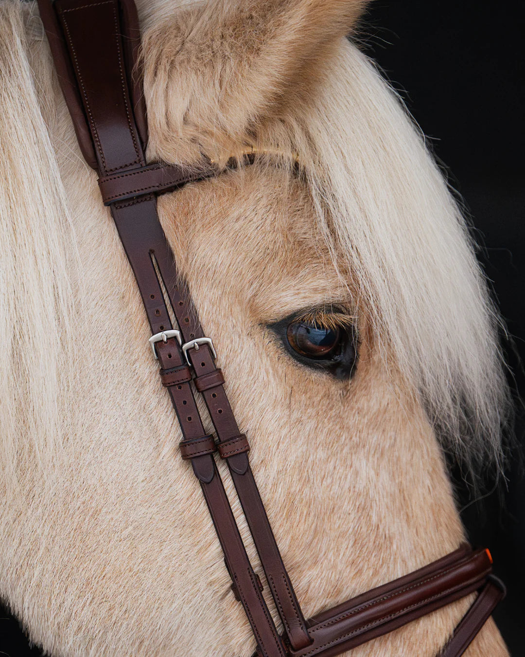 Native Bridle No. 21 | Brown