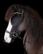 Native Bridle No. 18 | Black