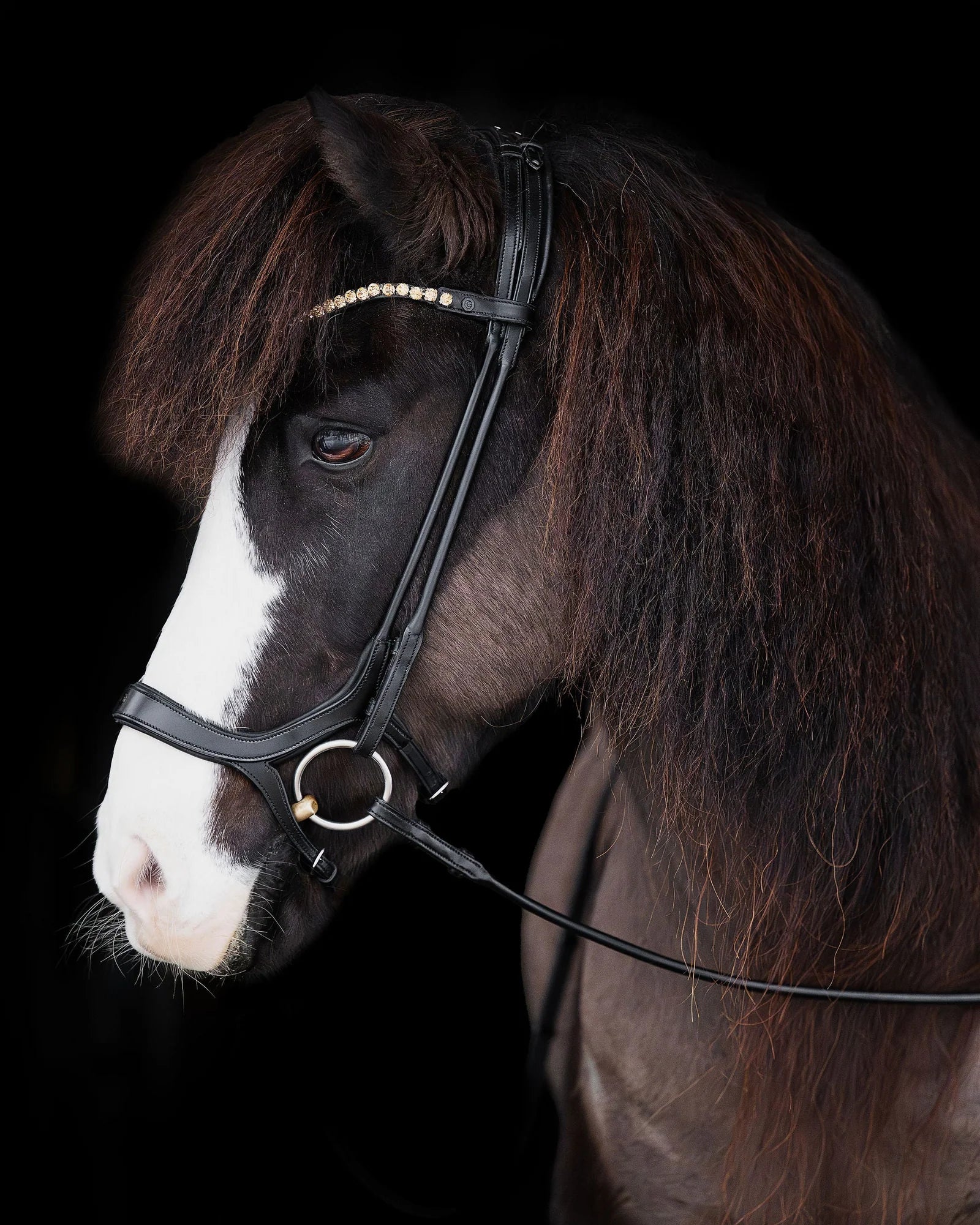 Native Bridle No. 18 | Black