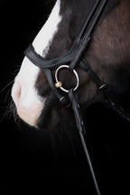 Native Bridle No. 18 | Black