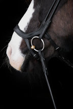 Native Bridle No. 18 | Black