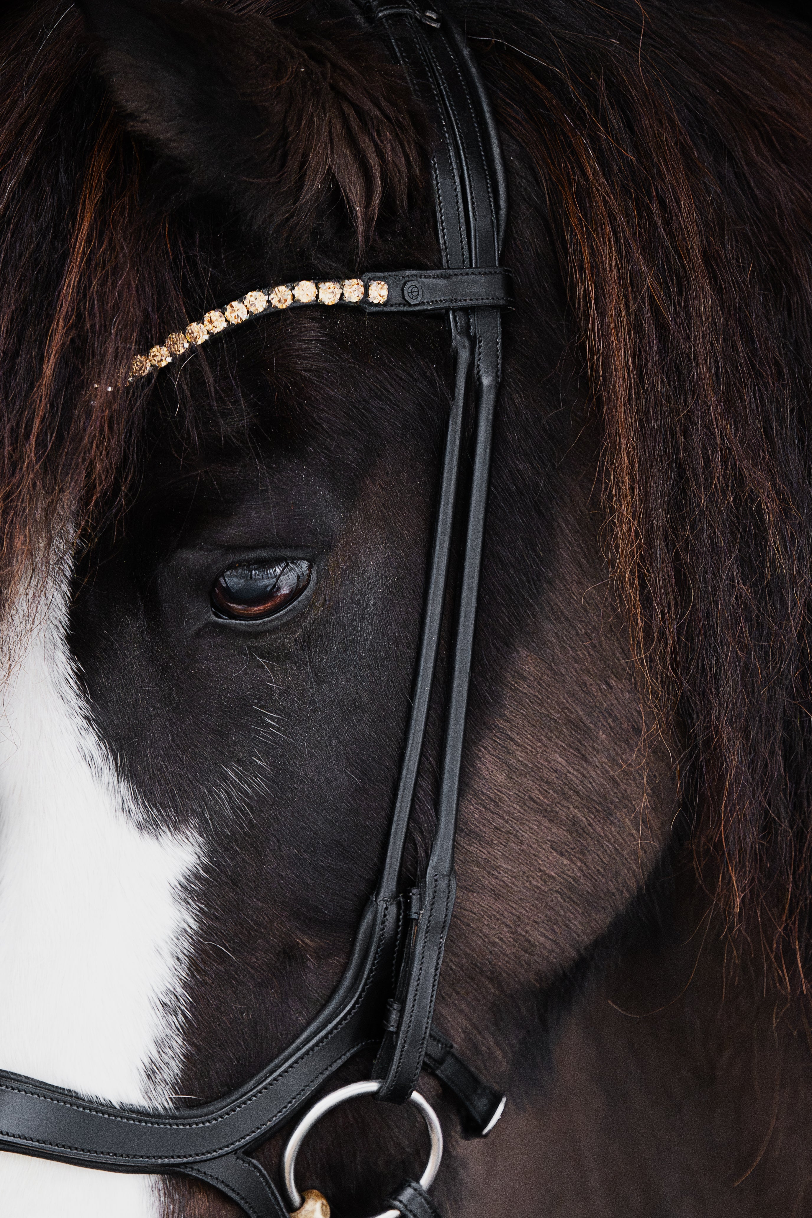Native Bridle No. 18 | Black