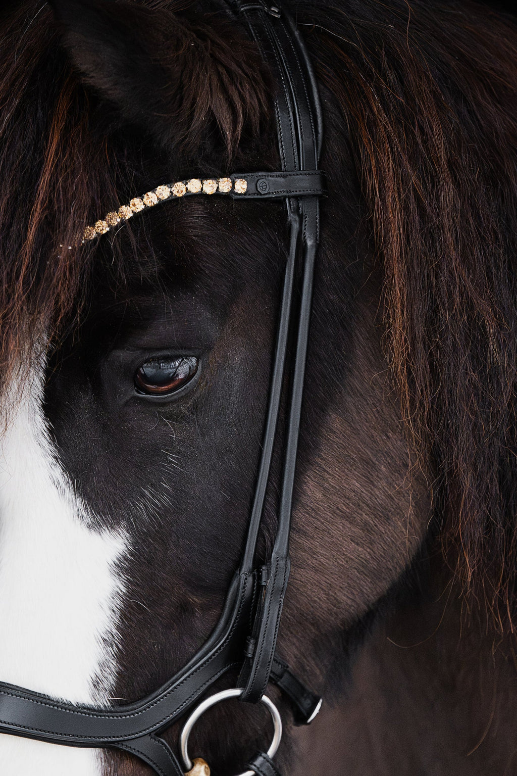Native Bridle No. 18 | Black