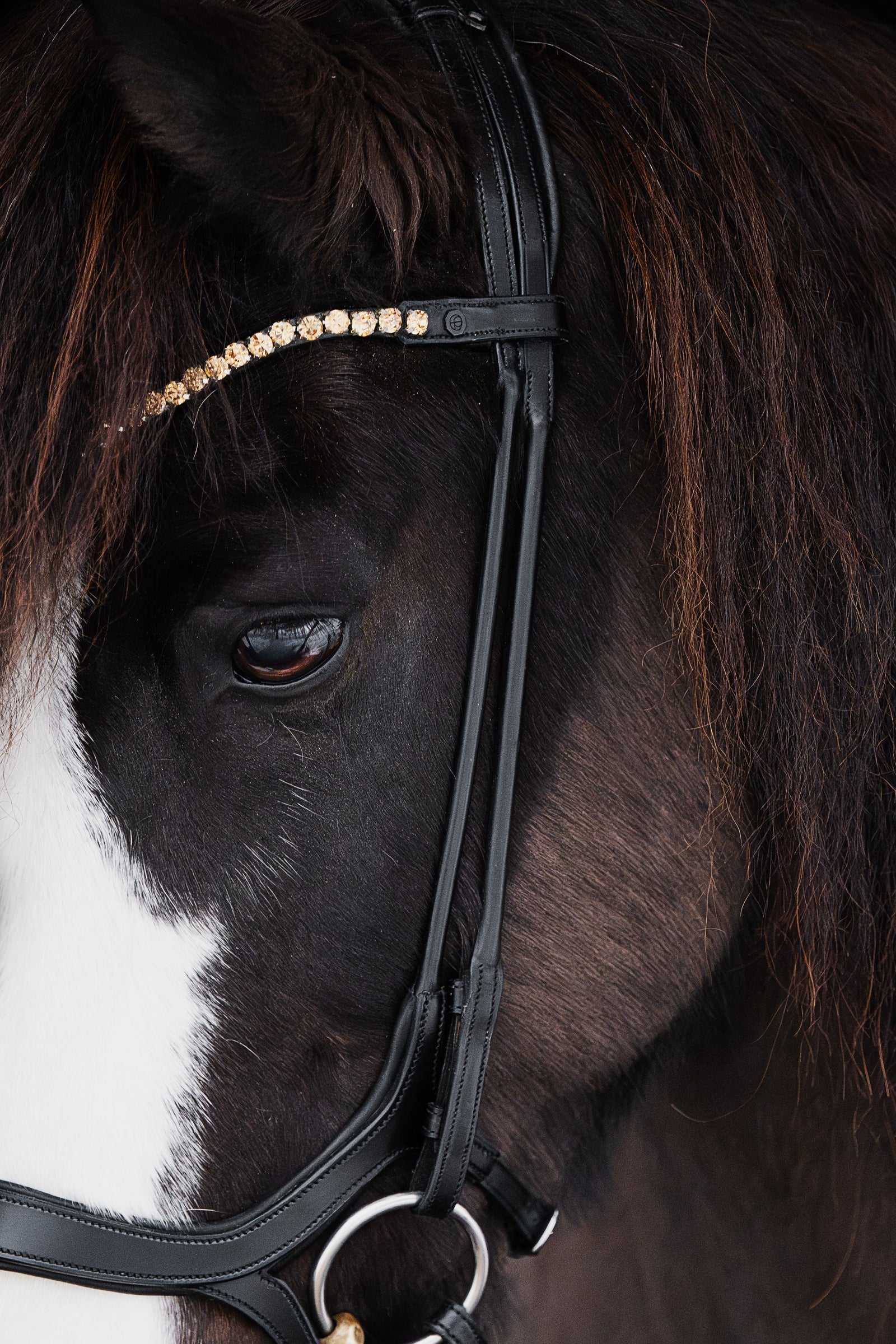 Native Bridle No. 18 | Black