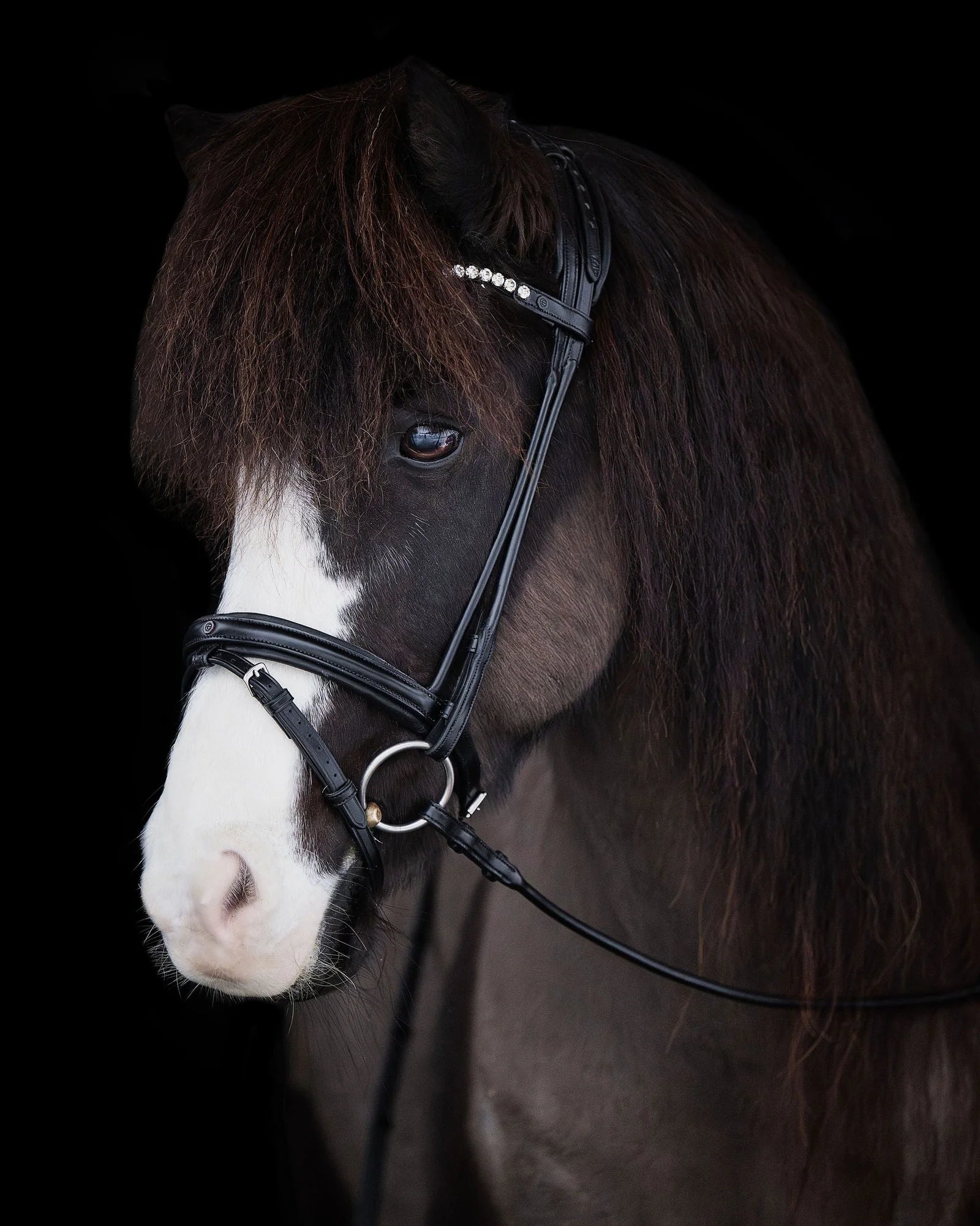 Native Bridle No. 19 | Black