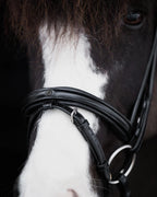 Native Bridle No. 19 | Black