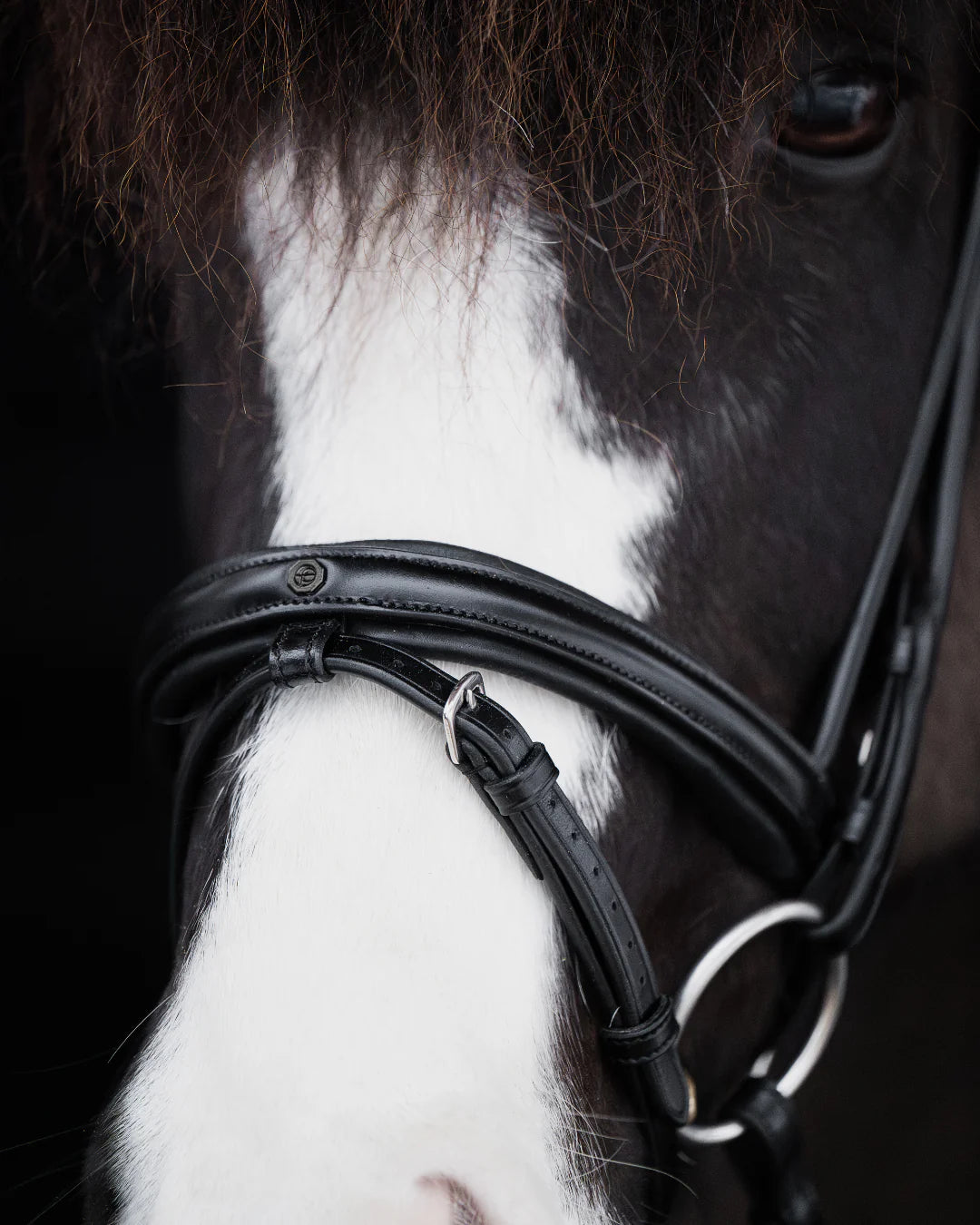 Native Bridle No. 19 | Black
