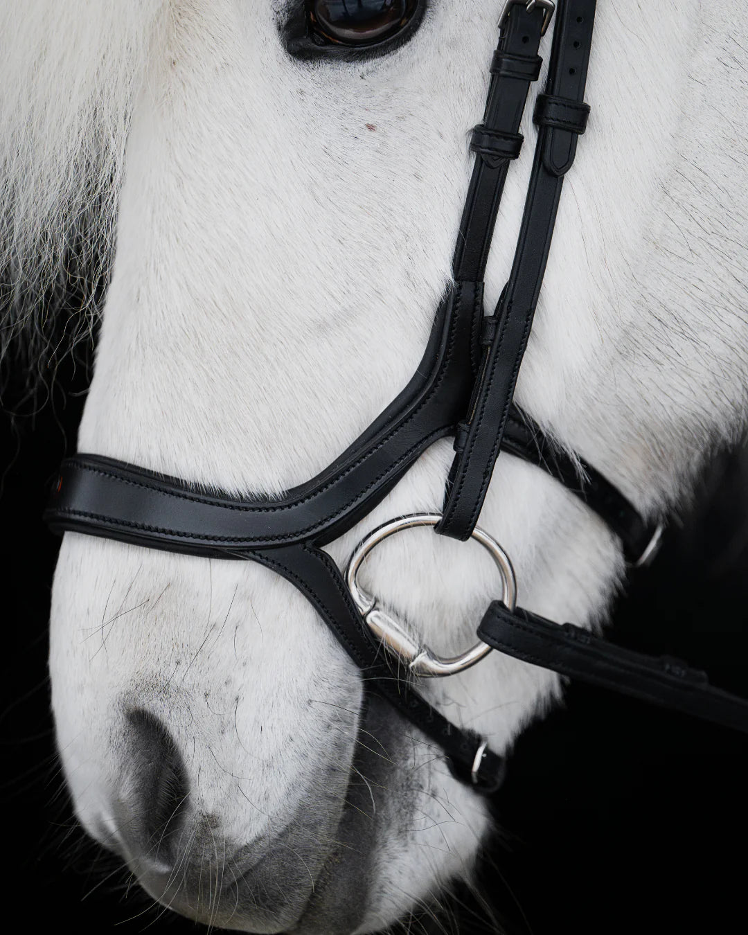 Native Bridle No. 20 | Black