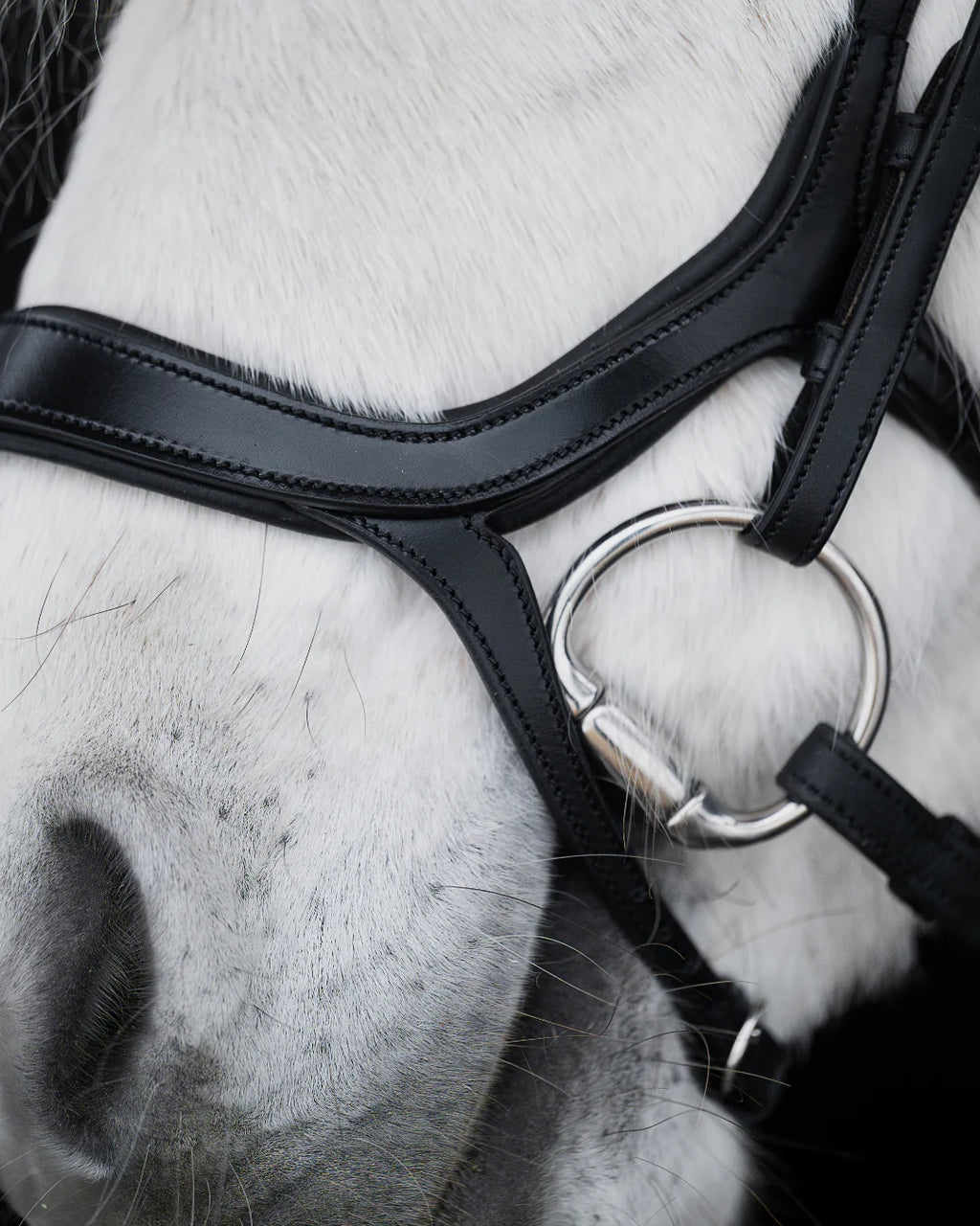 Native Bridle No. 20 | Black