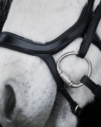 Native Bridle No. 20 | Black