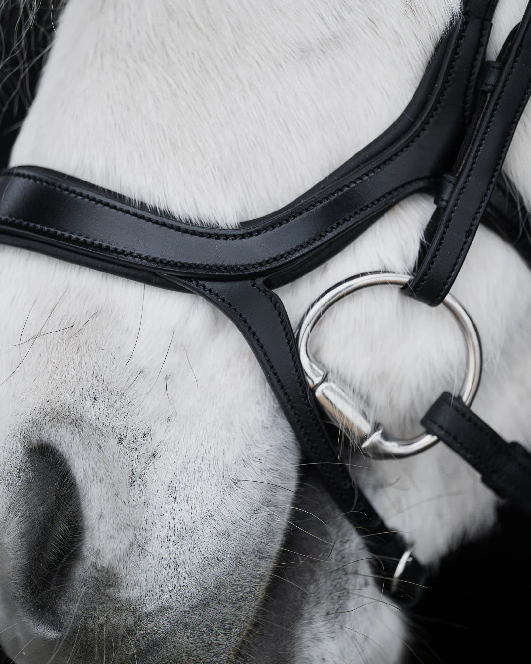 Native Bridle No. 20 | Black
