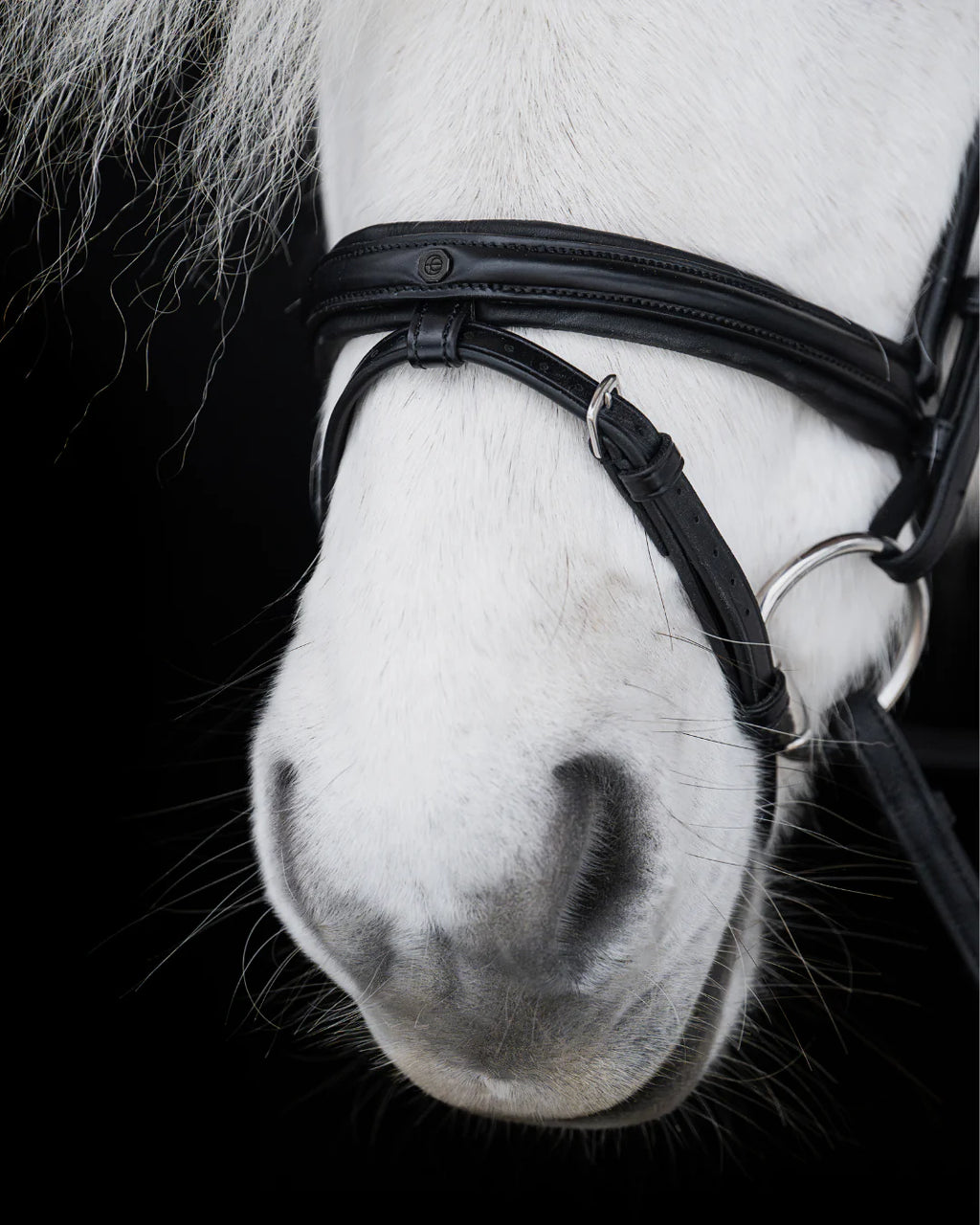 Native Bridle No. 21 | Black