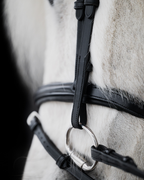 Native Bridle No. 21 | Black