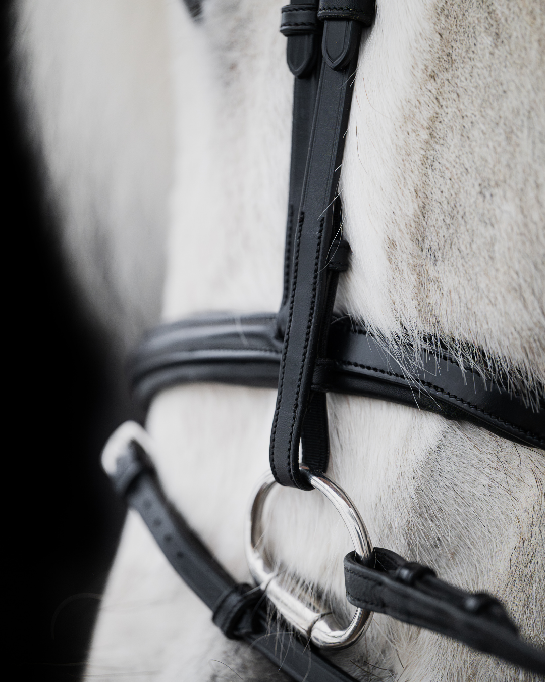 Native Bridle No. 21 | Black