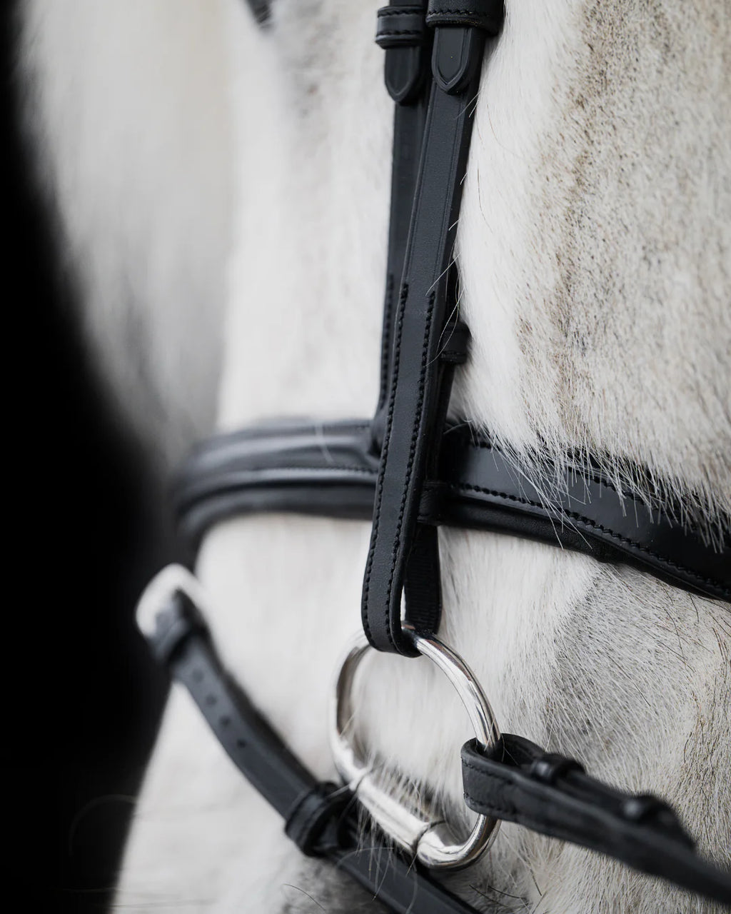 Native Bridle No. 21 | Black