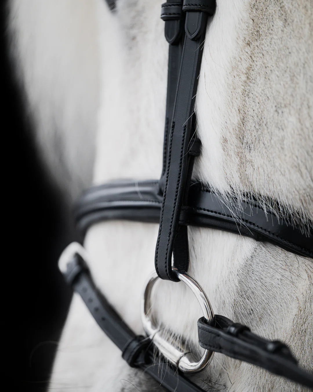Native Bridle No. 21 | Black