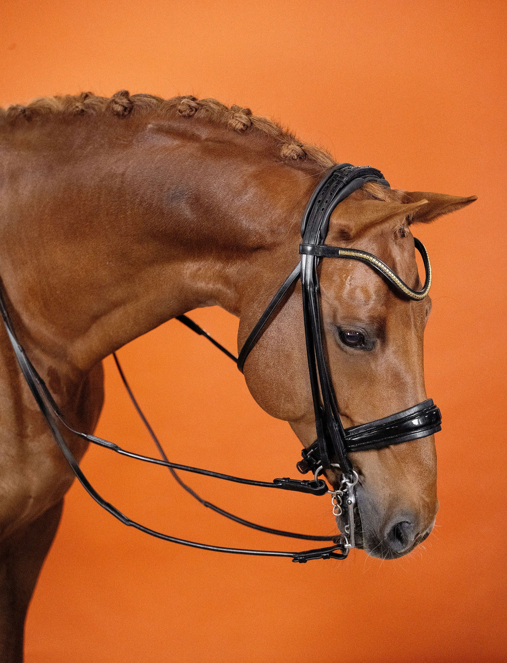 Patent Double Bridle – Black | No. 03