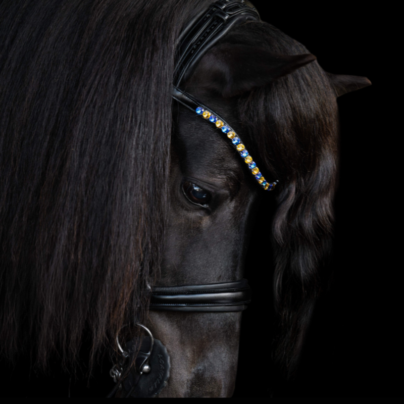 Native Bridle No. 22 | Black
