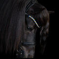 Native Bridle No. 22 | Black
