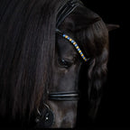 Native Bridle No. 22 | Black
