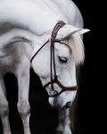 Pony Bridle No. 13 | Brown