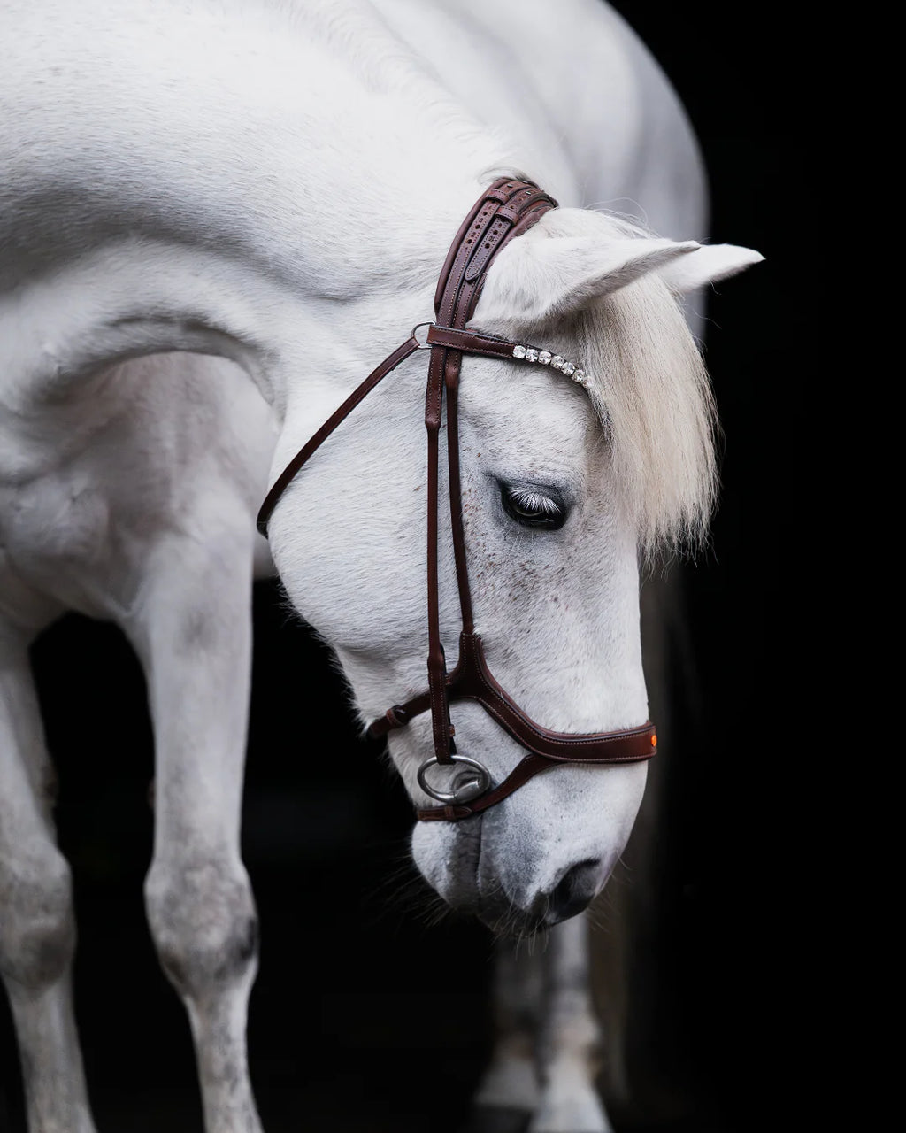 Pony Bridle No. 13 | Brown