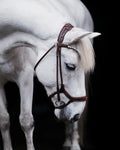 Pony Bridle No. 13 | Brown