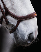 Pony Bridle No. 13 | Brown