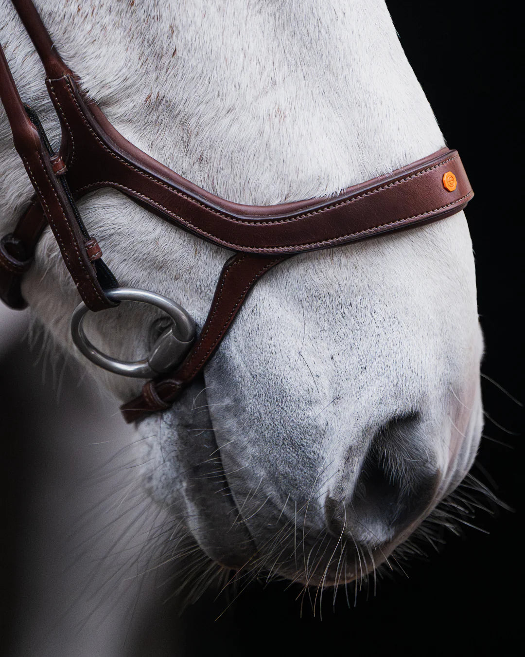 Pony Bridle No. 13 | Brown