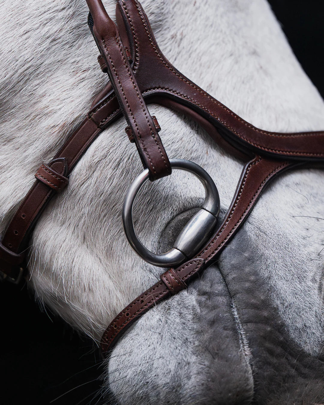 Pony Bridle No. 13 | Brown