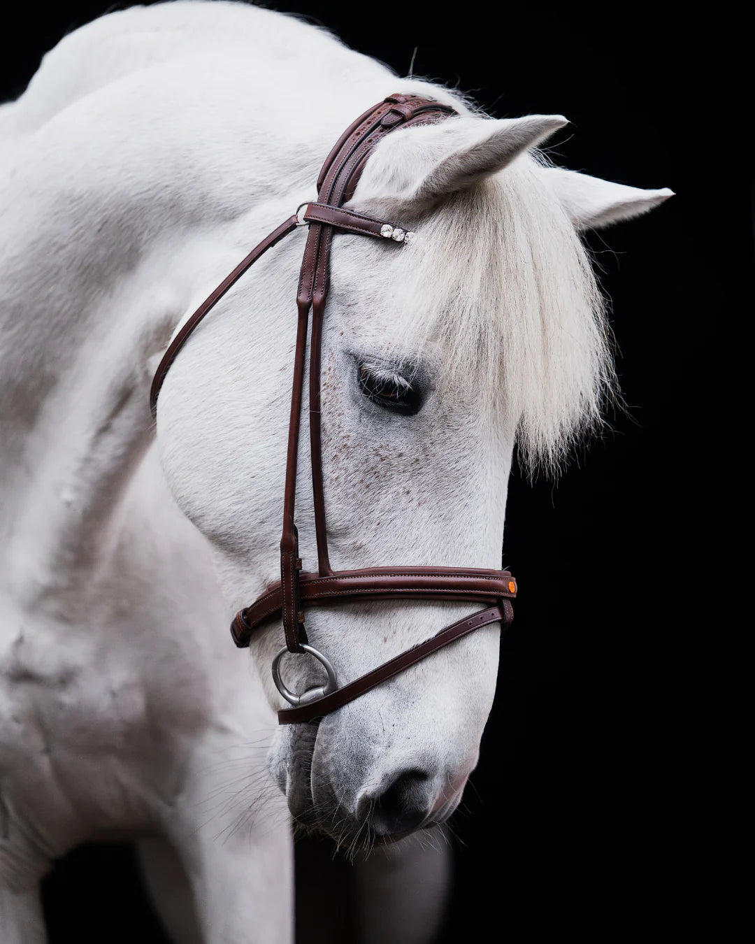Pony Bridle No. 14 | Brown