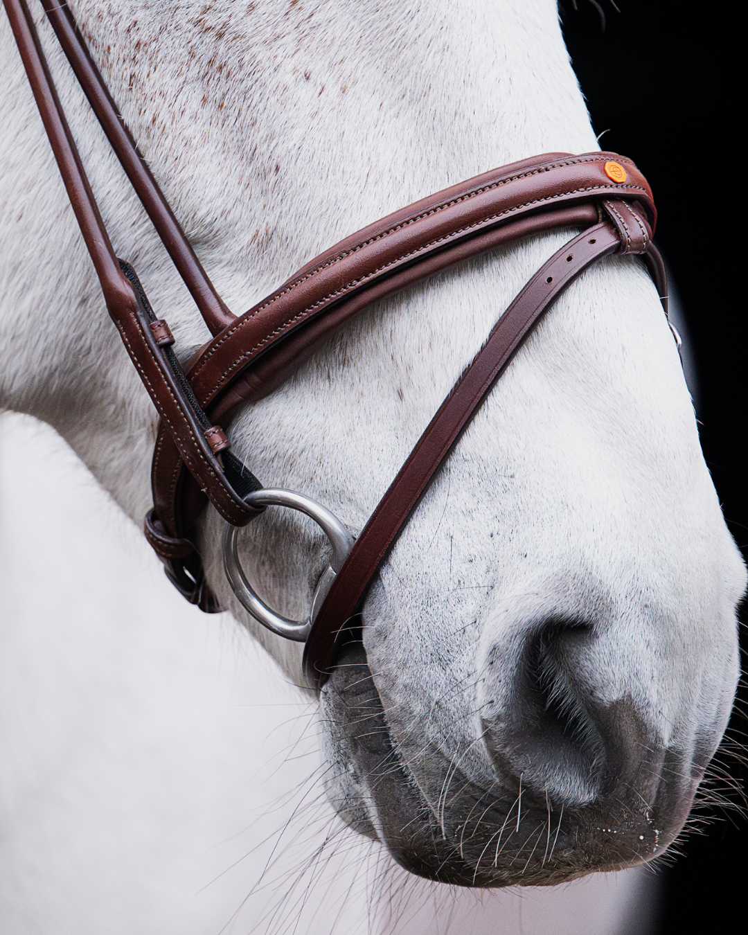Pony Bridle No. 14 | Brown