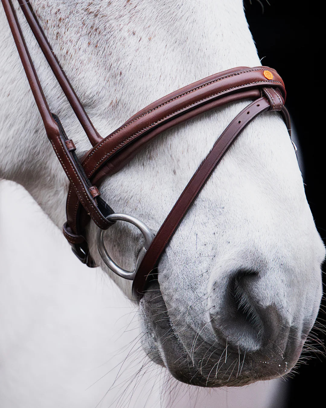 Pony Bridle No. 14 | Brown