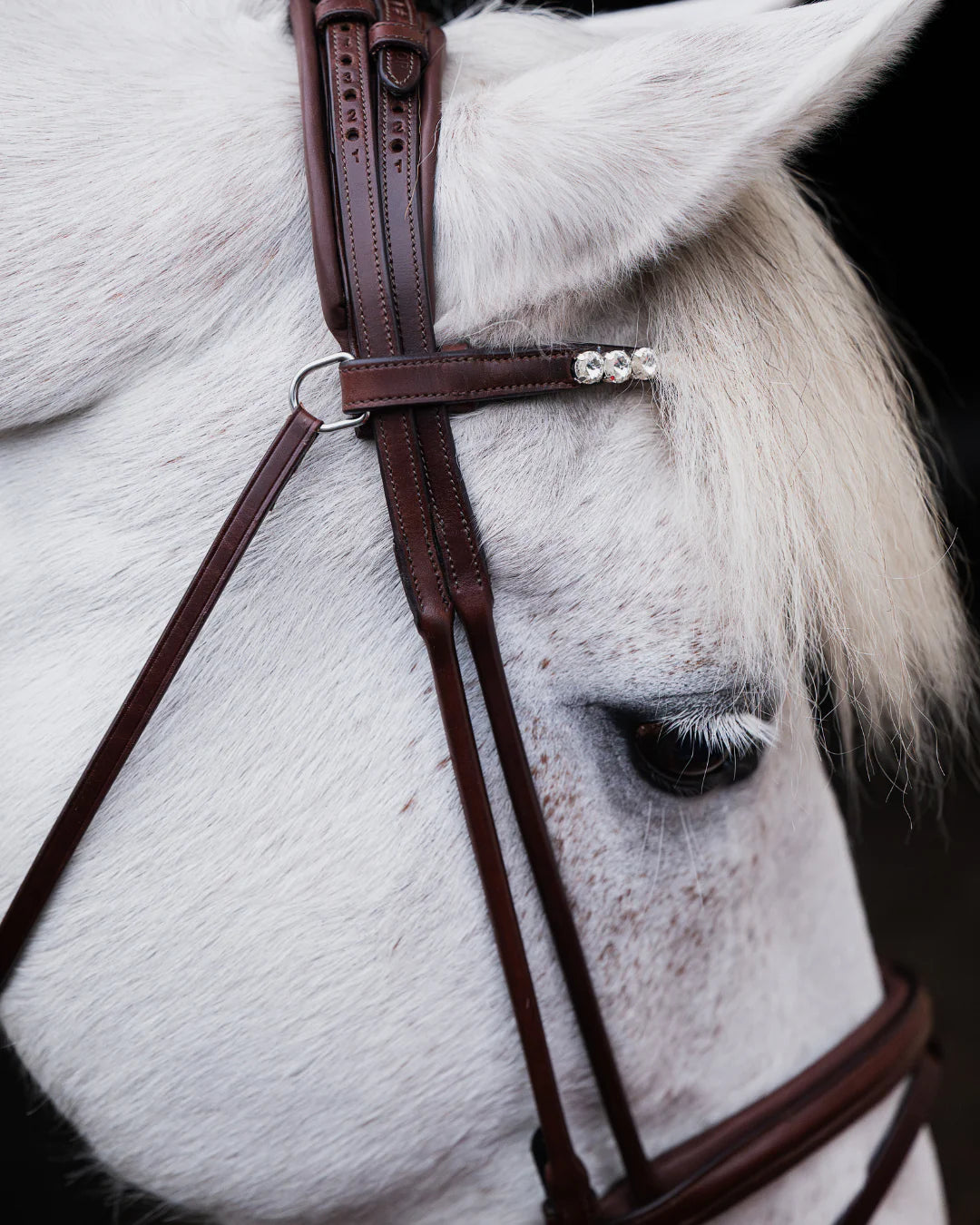 Pony Bridle No. 14 | Brown