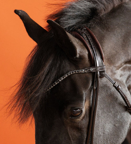 Jet Black Crystal Browband (8 mm) (Brown) | No. 53