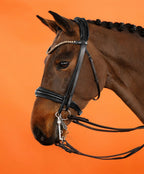Light Colorado Topaz Crystal Browband (8 mm) (Black) | No. 53