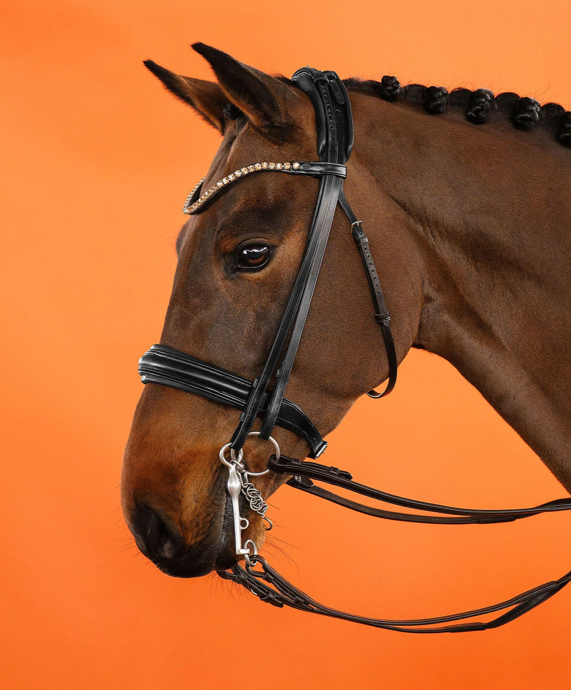 Light Colorado Topaz Crystal Browband (8 mm) (Black) | No. 53