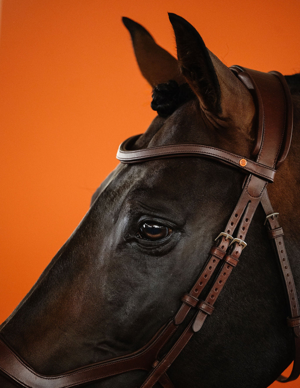 Leather Browband (Brown) | No. 50