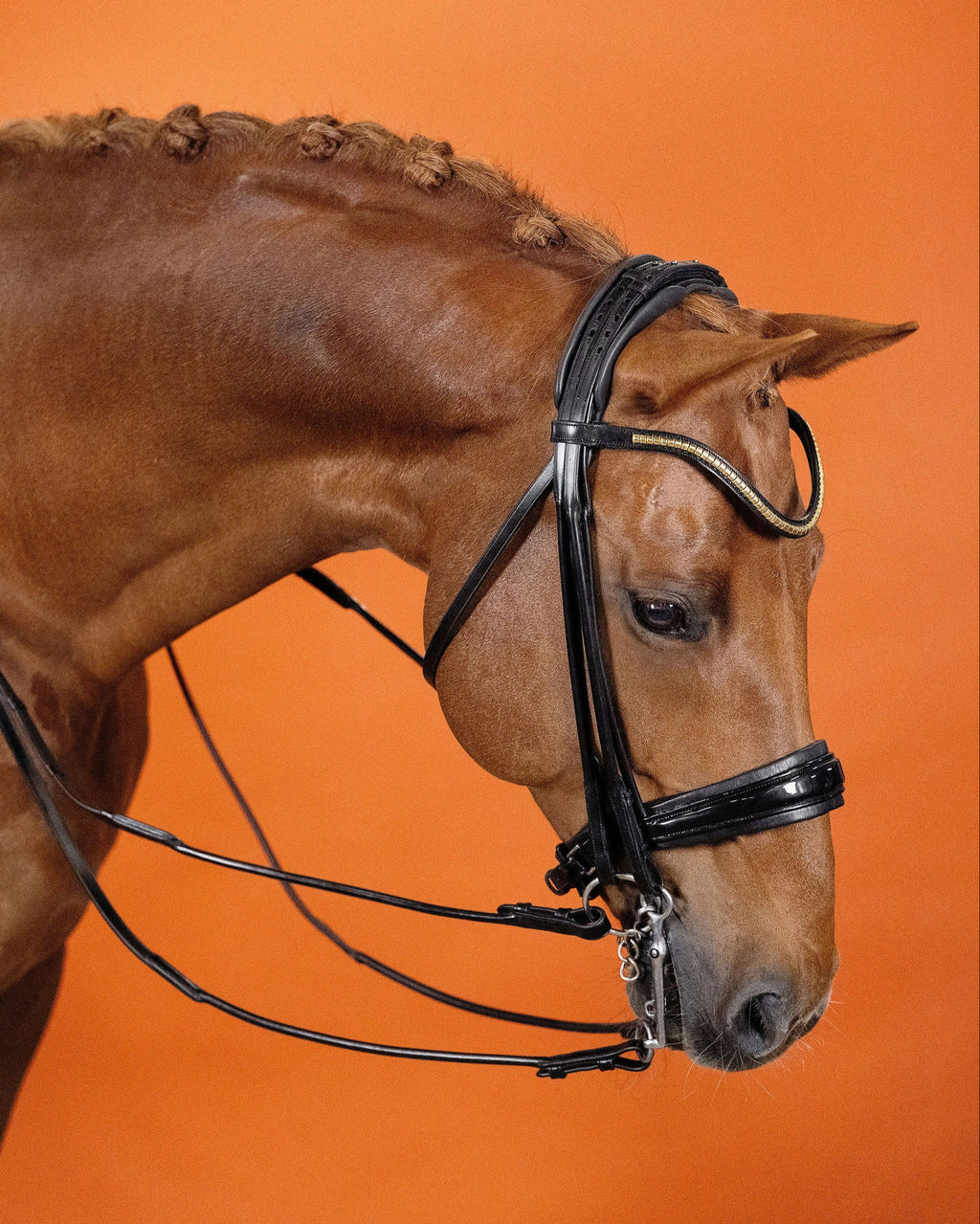 Clinker Browband (Black) | No. 54