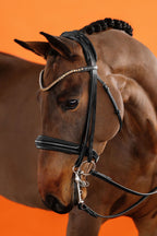 Double Bridle – Black | No. 11