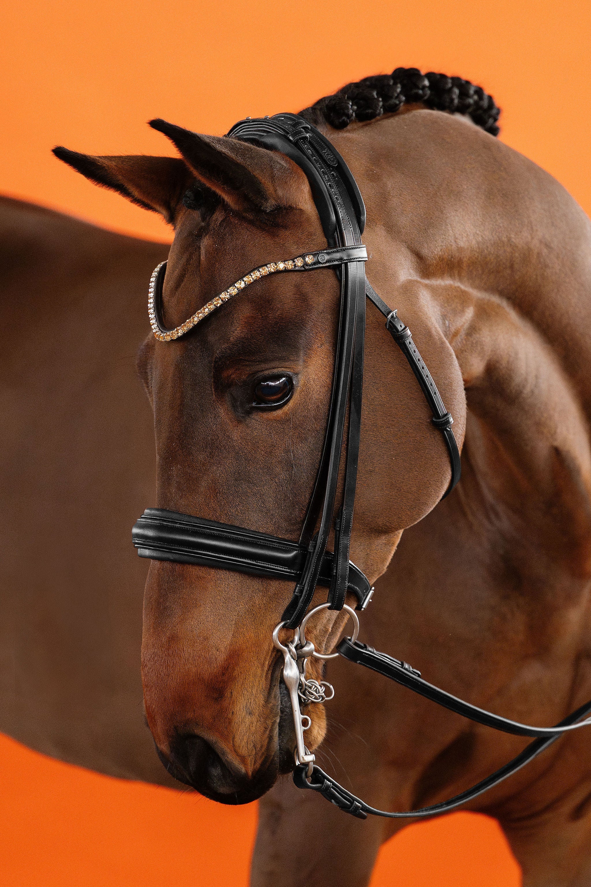 Double Bridle – Black | No. 11