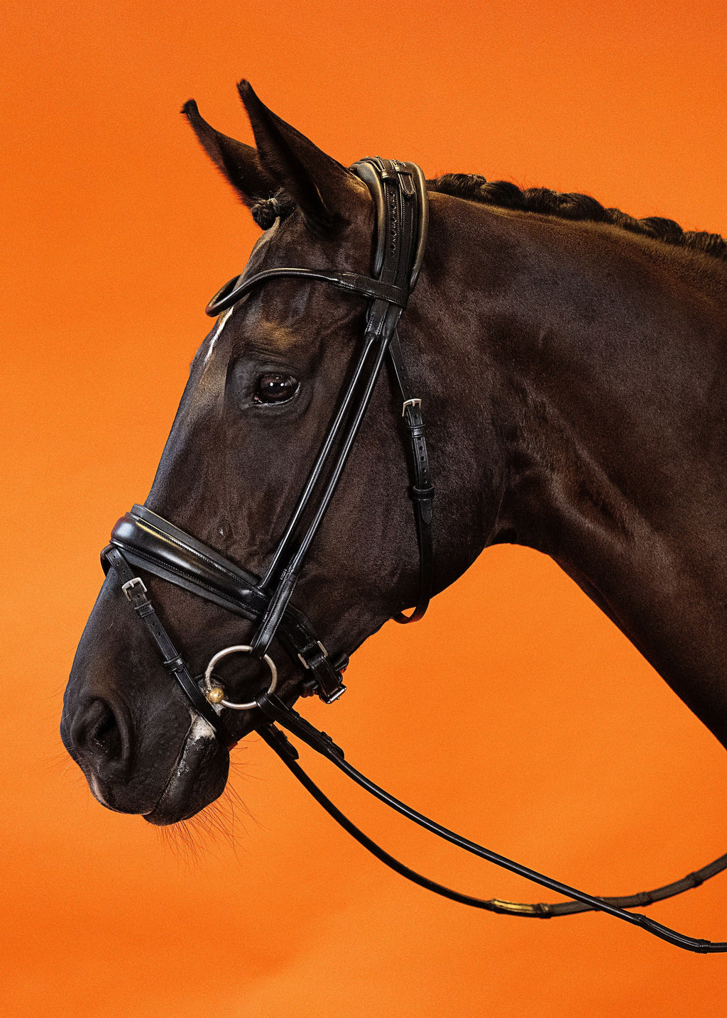 Round-Stitched Dressage Bridle – Black | No. 10