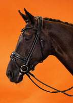 Round-Stitched Dressage Bridle – Black | No. 10