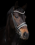 Double Bridle Rolled-Stitched - Matte Black - White Padding| No. 153