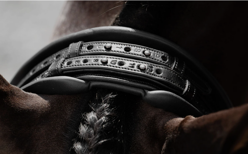 Dressage Headpiece (Black) | No. 121