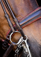 Double Bridle Rolled-Stitched – Matte Brown Crystal | No. 156