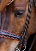 Matte Crystal Double Bridle – Brown | No. 03