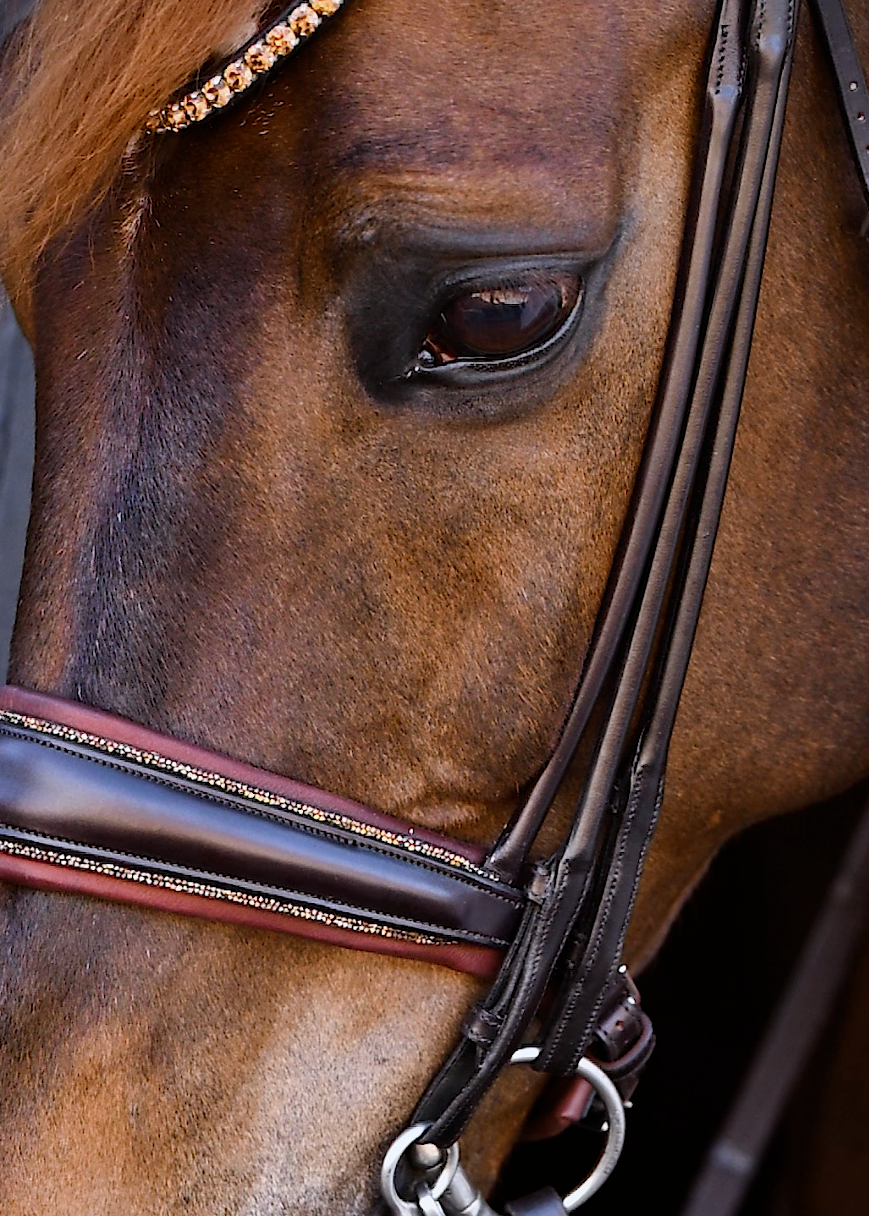 Matte Crystal Double Bridle – Brown | No. 03