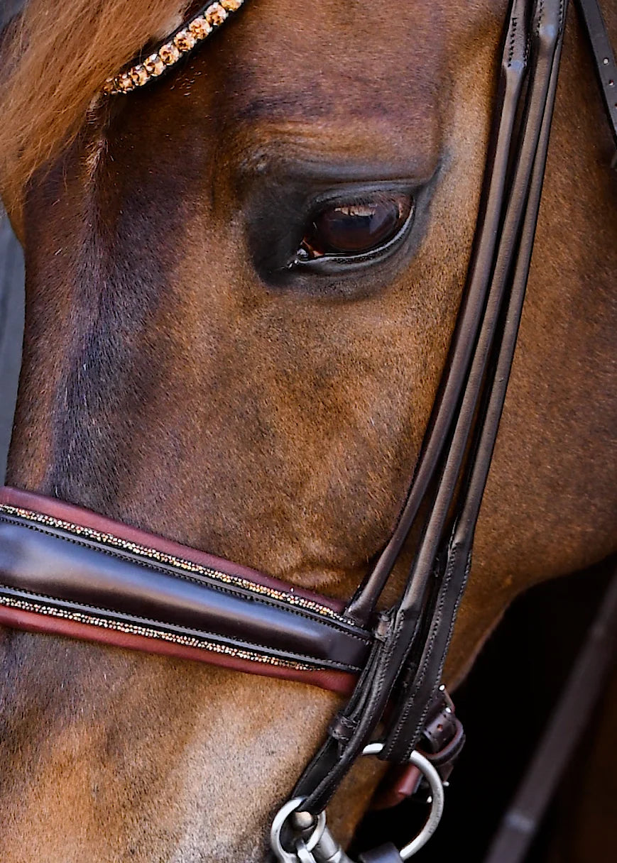 Double Bridle Rolled-Stitched – Matte Brown Crystal | No. 156