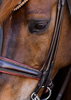 Double Bridle Rolled-Stitched – Matte Brown Crystal | No. 156